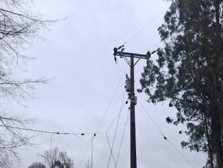 Trabajadores de brigadas eléctricas de Saesa reparando tendido afectado por caída de árboles tras temporal en Los Ríos