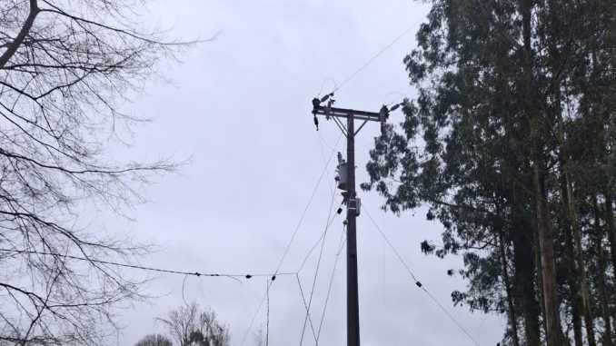Trabajadores de brigadas eléctricas de Saesa reparando tendido afectado por caída de árboles tras temporal en Los Ríos