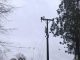 Trabajadores de brigadas eléctricas de Saesa reparando tendido afectado por caída de árboles tras temporal en Los Ríos