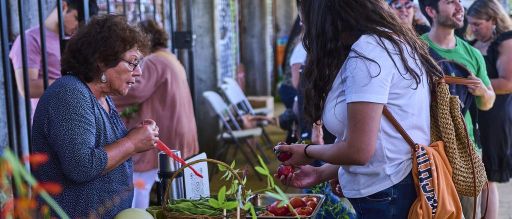 Productos del mar y artesanías en exhibición durante el primer Festival Lafkenche en Valdivia
