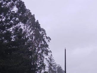 Personal técnico de Saesa monitoreando red eléctrica ante pronóstico de sistema frontal