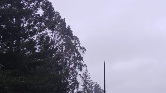 Personal técnico de Saesa monitoreando red eléctrica ante pronóstico de sistema frontal