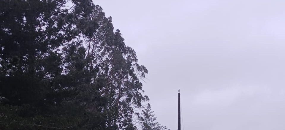 Personal técnico de Saesa monitoreando red eléctrica ante pronóstico de sistema frontal