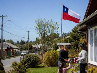 Trabajadores de Saesa realizando mantenimiento preventivo en redes eléctricas para Fiestas Patrias
