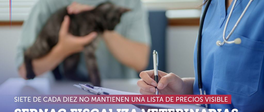 Fiscalizacion del Sernac a clinicas veterinarias y centros de atencion de mascotas en Chile