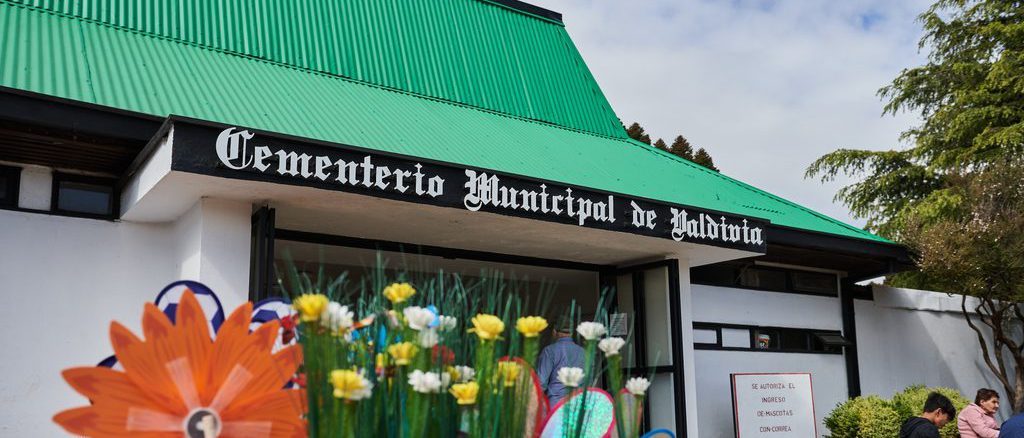 Trabajos de mantención en el Cementerio Municipal de Valdivia para la festividad de Todos los Santos.
