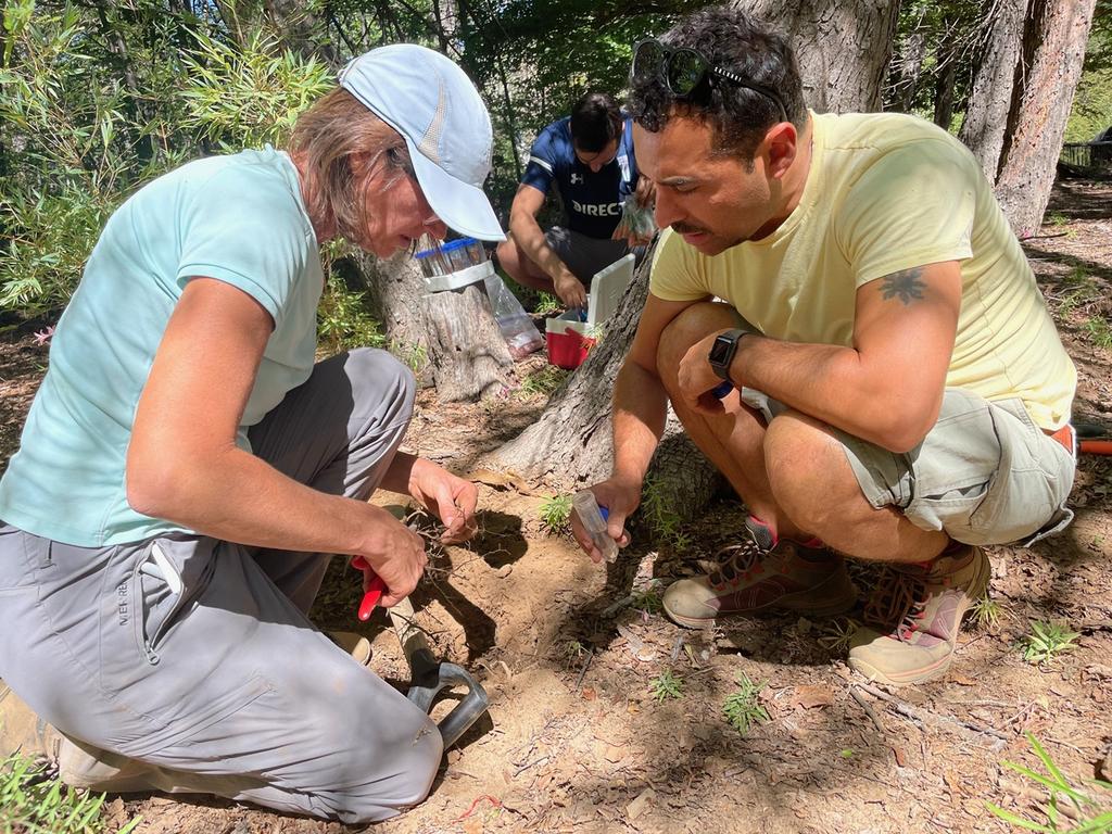 Investigadores analizando muestras de levadura silvestre en los bosques patagónicos