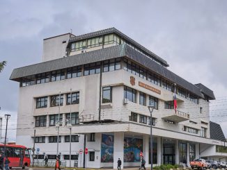 Tribunal de Valdivia declara admisible querella por atropello fatal en avenida Schneider presentada por el municipio.