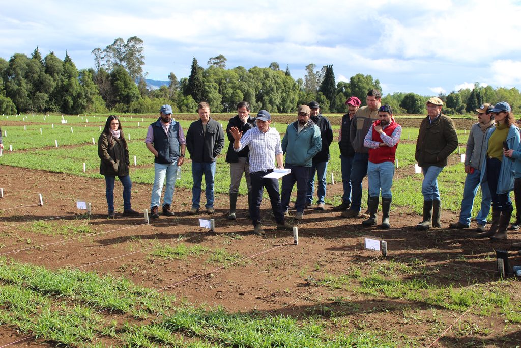 Agricultores y autoridades participando en la jornada de ensayos de variedades de cebada en la Universidad Austral de Chile.