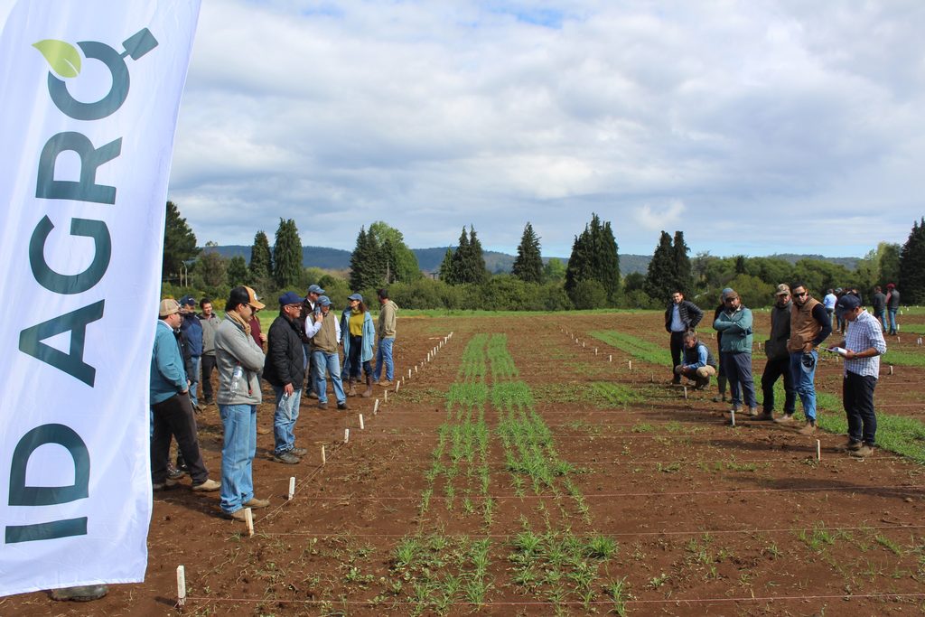 Agricultores y autoridades participando en la jornada de ensayos de variedades de cebada en la Universidad Austral de Chile.