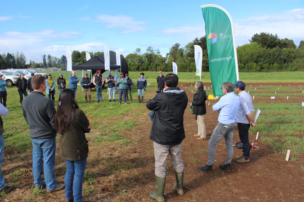 Agricultores y autoridades participando en la jornada de ensayos de variedades de cebada en la Universidad Austral de Chile.