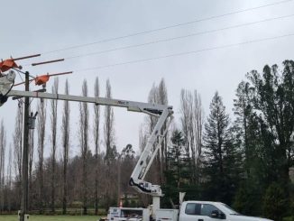 Operarios de Saesa realizando trabajos de mantenimiento en la red electrica de la costa de Valdivia